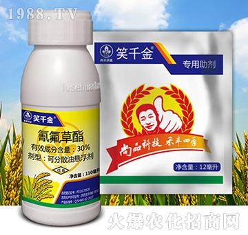 笑千金組合-尚禾沃達