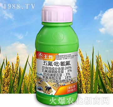 24%五氟·吡·氰氟-王炸-尚禾沃達