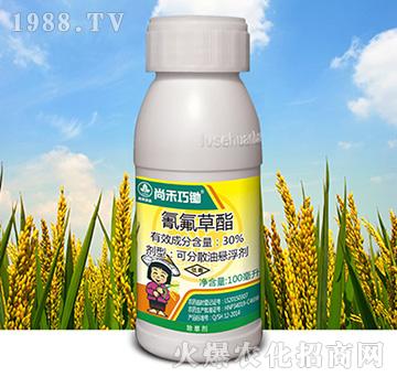 30%氰氟草酯-尚禾巧鋤-尚禾沃達