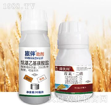 闊優(yōu)瑪-尚禾沃達