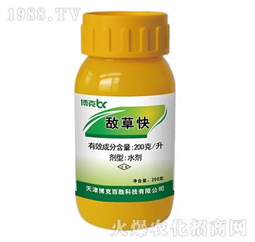 200��ÿ�����ݿ�-���˰ل�