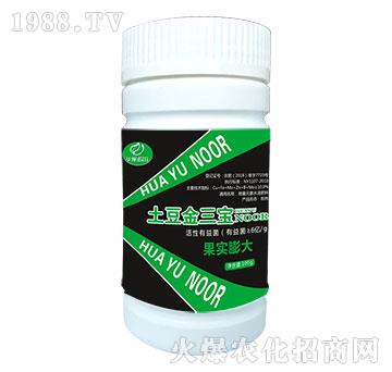果實(shí)膨大微量元素水溶肥料-土豆金三寶-諾爾