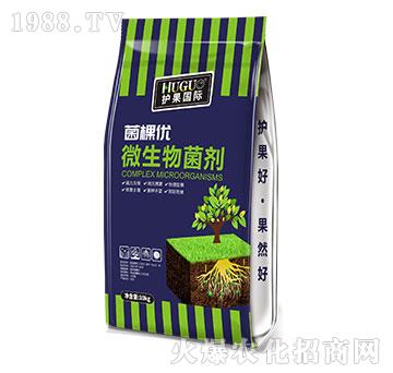 微生物菌劑-菌棵優(yōu)-護(hù)果國(guó)際