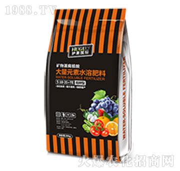 高鉀型大量元素水溶肥料-護(hù)果國際