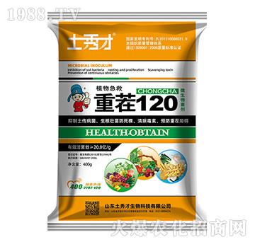 ֲ�Ｑ��-�ز�120-�����