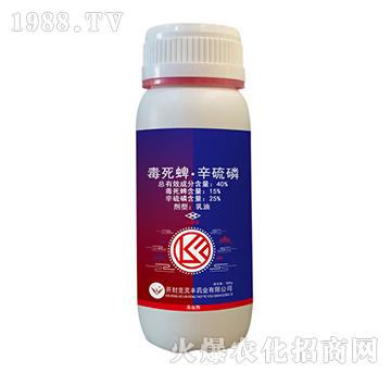 40%�����硤������-