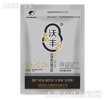 ��(d��ng)�ﵰ��������-���S�f