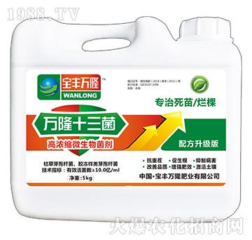 �ߝ�s΢�������-�f¡