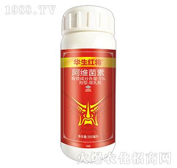 5%���S����-�A���t��