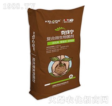 ��(f��)��΢�������-�˾�(xi��n)��-�W���r(n��ng)�I(y��)