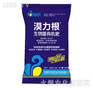 ������ЙC(j��)��-Į����-�����\