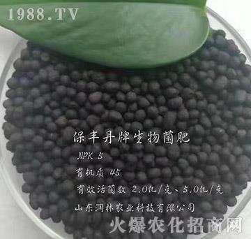 生物菌肥-保豐丹-潤林農(nóng)業(yè)