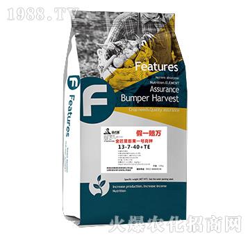 �������һ̖(h��o)���13-7-40+TE-����