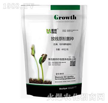 放線原粉菌種-愛(ài)邦