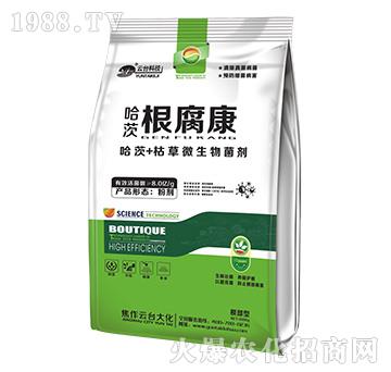 哈茨根腐康-云臺(tái)大化