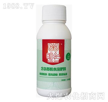 含氨基酸水溶肥料-明紅-藍翠農(nóng)科