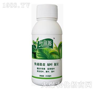 葉滋源-藍翠農(nóng)科