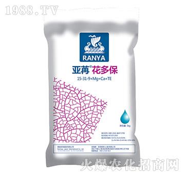 亞苒花多保-亞苒國(guó)際