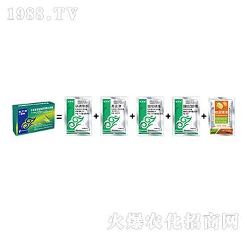 玉米全能除草劑-一季閑-人人共享農(nóng)化