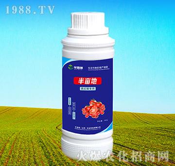 ���t�������~���-�뮀��