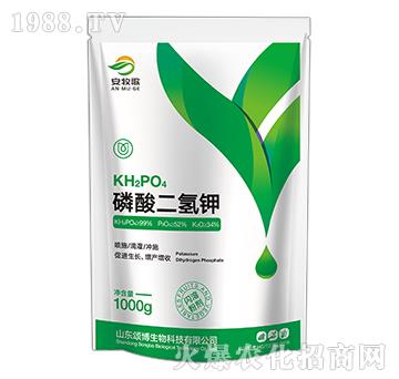 ��������-������-ힲ�����