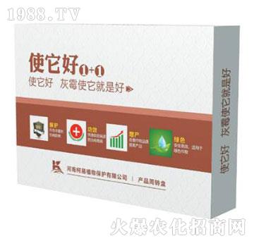 ʹ����1+1-����ֲ��