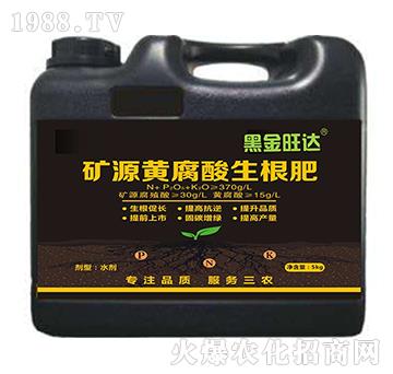 �VԴ�S����������-�ڽ����_-�͌�����