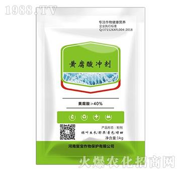 �S����_��-�͌�����