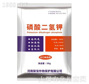 ��������-��(f��)������