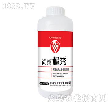 ��O�㣨1000g��-����