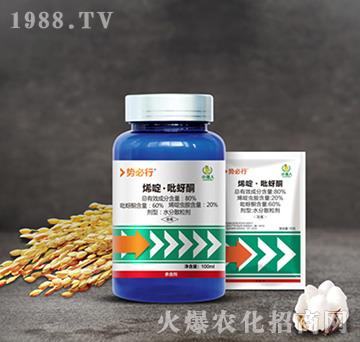 80%烯啶·吡蚜酮-勢必行-小龍人