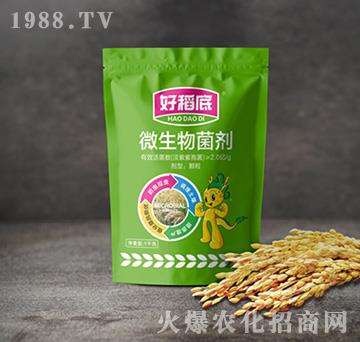 水稻防蟲(chóng)藥肥-好稻底-小龍人