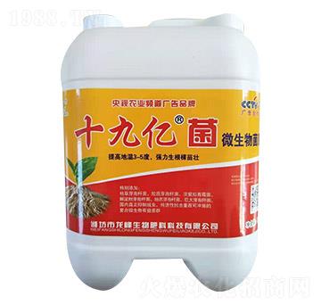 ΢�������-ʮ�Ń|��-��������