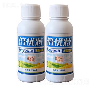 ������~����-����(y��u)��-���