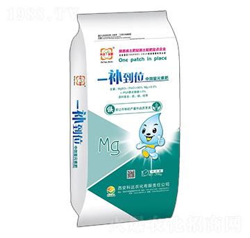 中微量元素肥-一補(bǔ)到位-達(dá)農(nóng)化