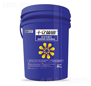 ΢�������-ʮ�|���F-�����Ƽ�