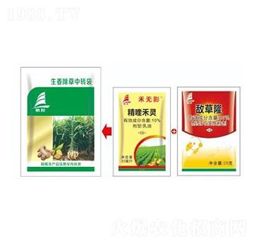 生姜田雜草解決方案-喜豐收