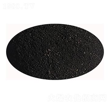 ������ֲ��-ʥ��һ��