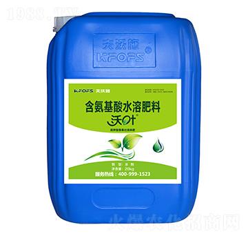 ����͸��������w��-��