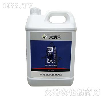 菌魚(yú)肽-多肽酶解魚(yú)蛋白-大潤(rùn)禾