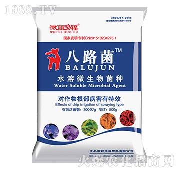 ˮ��΢������N��500g��-��·��-΢���ร