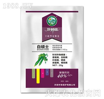 白碩士-好邦田-天碩作物