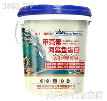 �ך��غ����~����-������