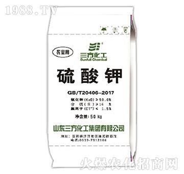 50%��ĩ�����-��������