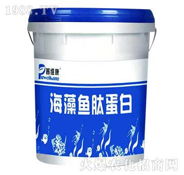 �����~⁵���-�վS��-�_�_