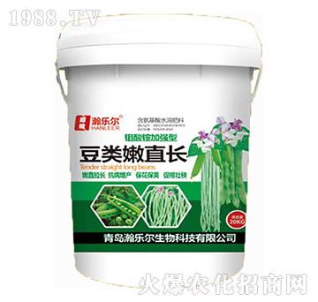 豆類嫩直長(zhǎng)-瀚樂(lè)爾