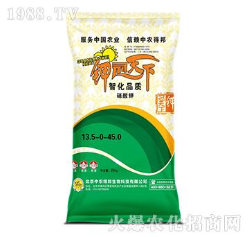 ⛹�����-���w�r(n��ng)�I(y��)