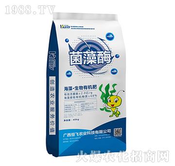 ���塤�����ЙC(j��)��-����ø-���w�r(n��ng)�I(y��)