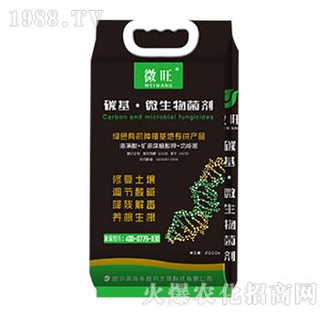 ̼����΢�������-΢��-���S���