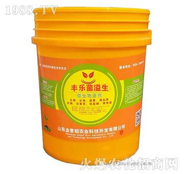 豐樂(lè)菌溢生-金麥稻